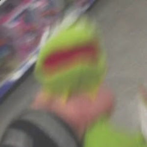 Meet your Posher, Elena